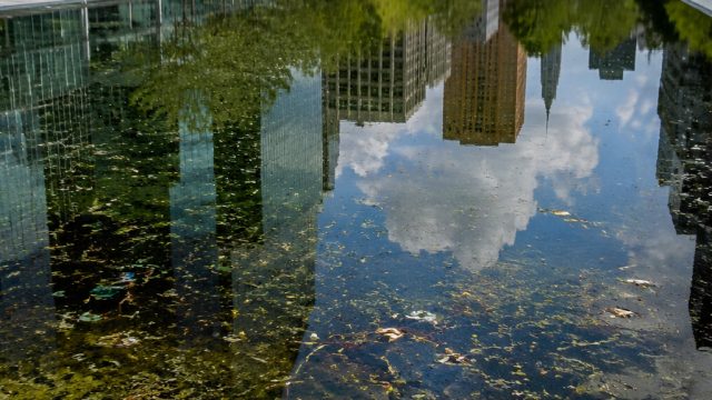 The Environmental Impact of Urban Reflecting Pools: A Growing Concern